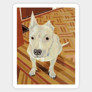 Ed - Super Cool Dog Adopted from the Washington Rescue Alliance Sticker